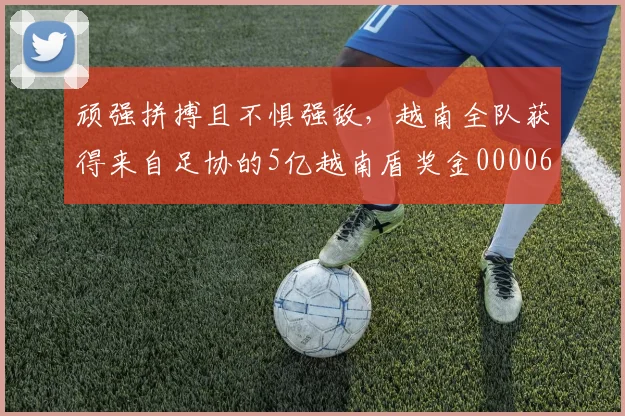 顽强拼搏且不惧强敌，越南全队获得来自足协的5亿越南盾奖金0000644