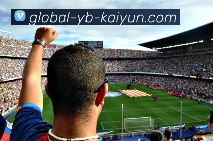 开云平台生态图