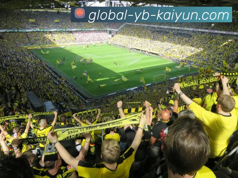 数据防护可视化